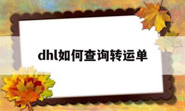 dhl如何查询转运单