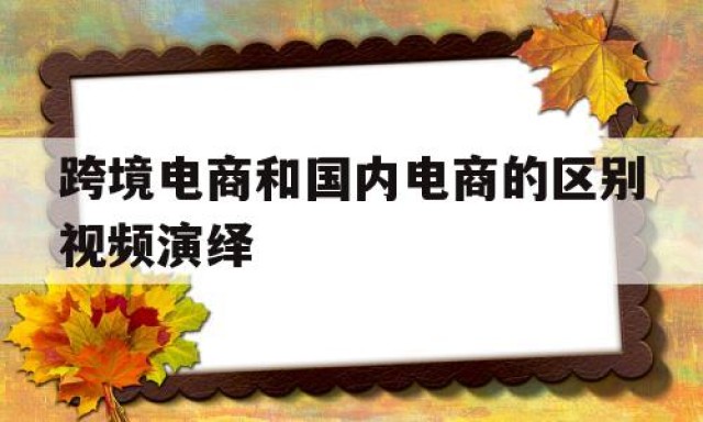 跨境电商和国内电商的区别视频演绎