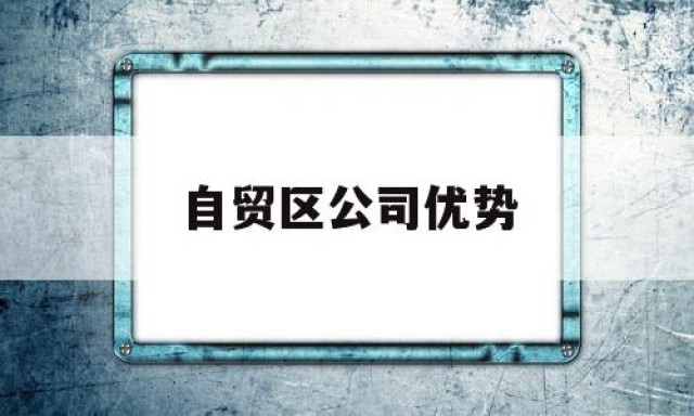 自贸区公司优势